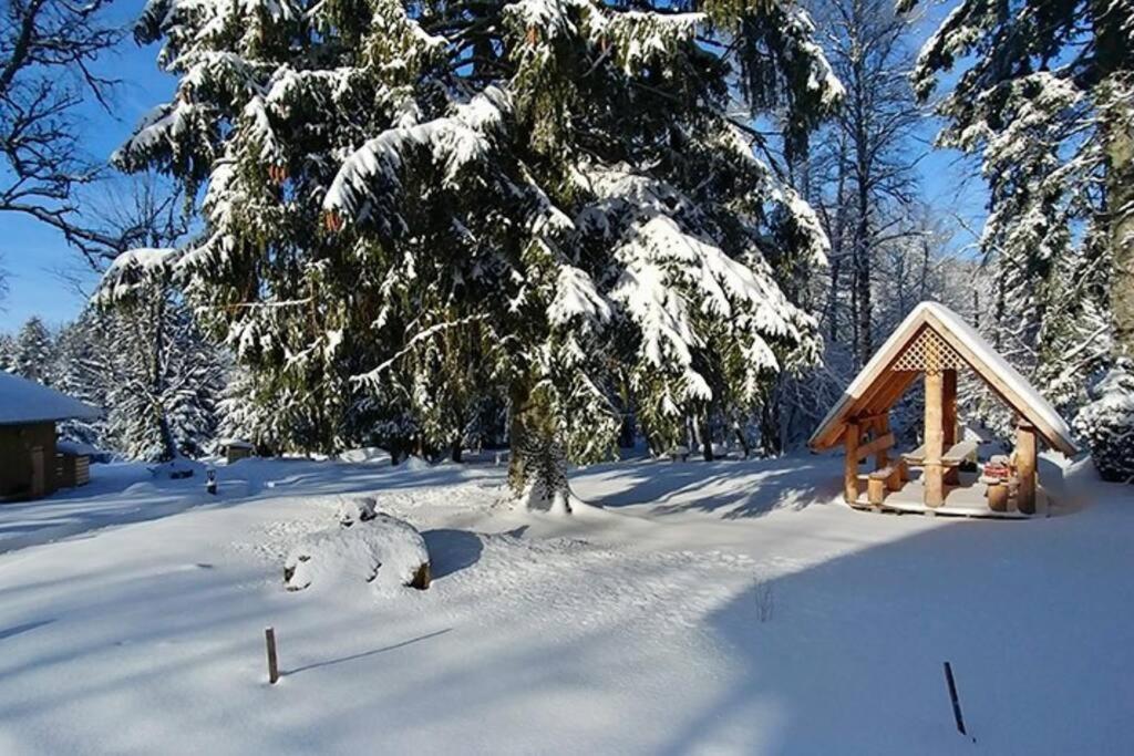 Le Petit Loup, Appartement Neuf Avec Jardin Gerbépal エクステリア 写真